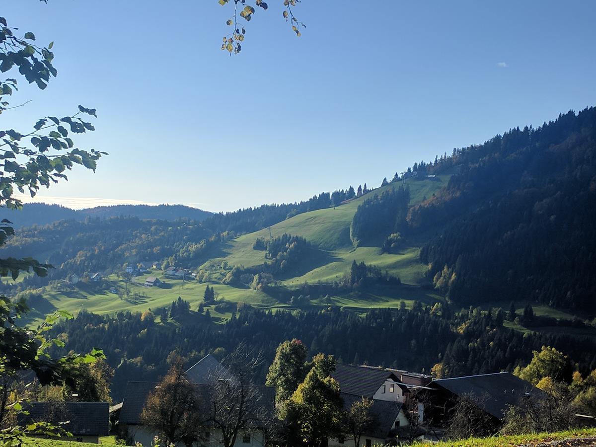 Gostisce In Penzion Stari Vrh Poljane nad Škofjo Loko Exterior foto